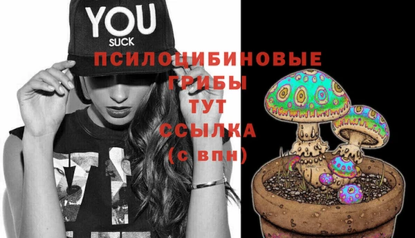 прущие крисы Бронницы