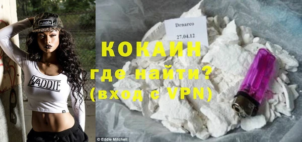 индика Белоозёрский