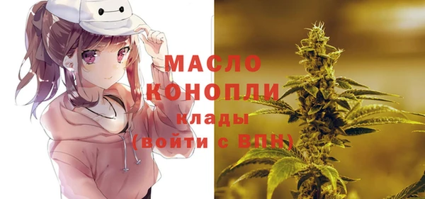 индика Белоозёрский