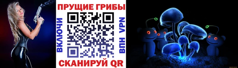 Псилоцибиновые грибы ЛСД продажа наркотиков Иннополис