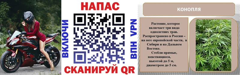 купить   Иннополис  Конопля OG Kush 